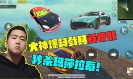 吃鸡载具皮肤爆料最新,炫酷外观引玩家热议！